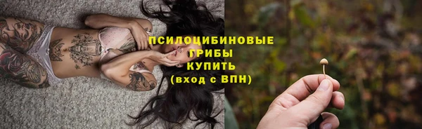 дмт Вяземский