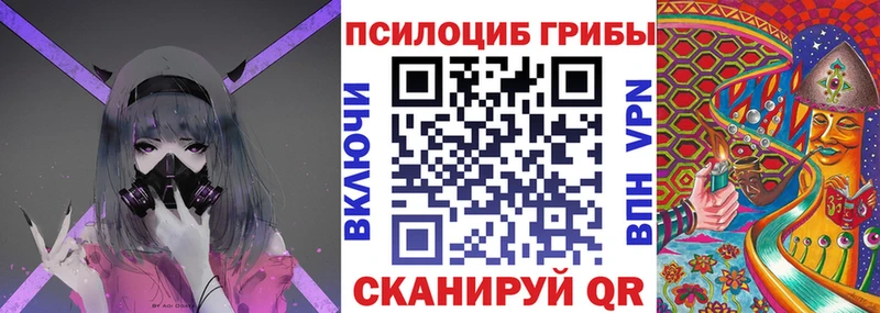 Псилоцибиновые грибы Psilocybe  Купить закладки  Псков 